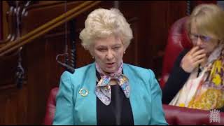 Baroness O'Loan -  Second Reading - Conscientious Objection (Medical Activities) Bill
