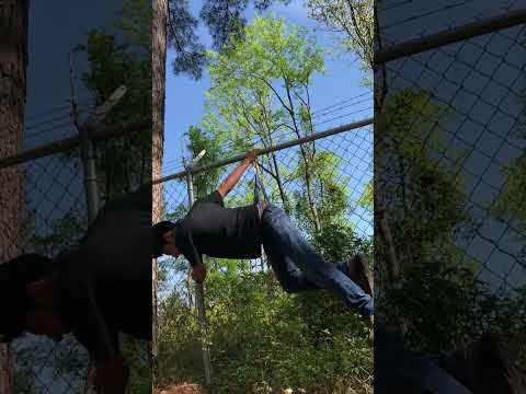 Fence Hanging Wedgie