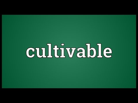 Header of cultivable