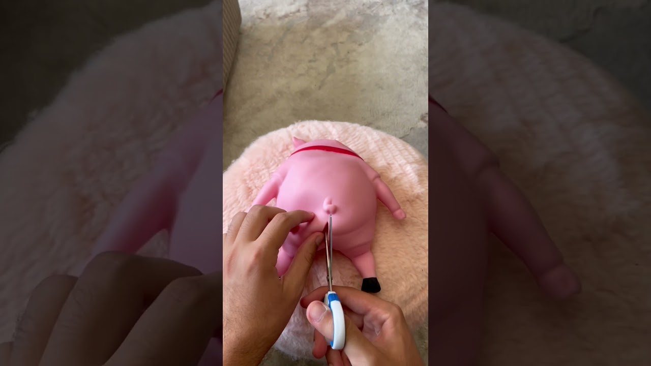 Jimmy 🐷 VS Scissors ✂️