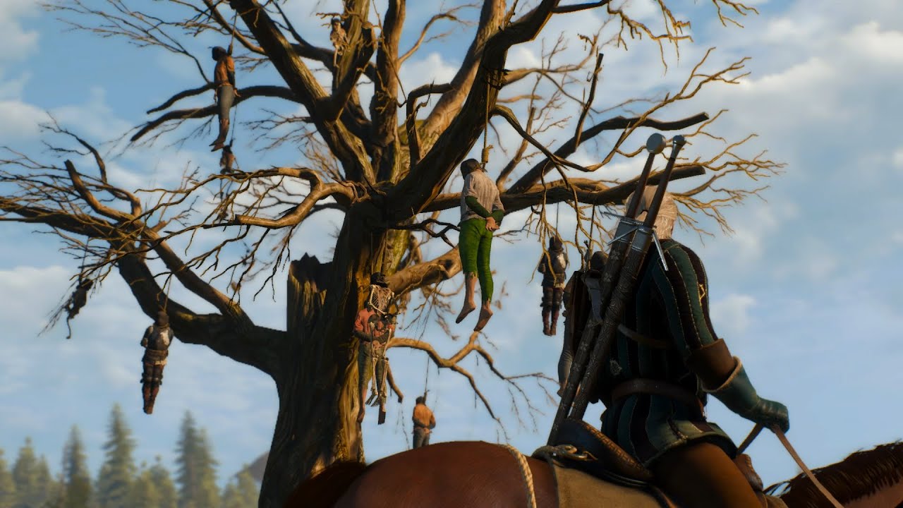 60 fps the witcher 3 фото 32