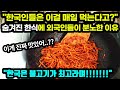 [해외반응] "한국인들은 이걸 매일 먹는다고?" 숨겨진 한식에 분노하는 외국인반응 // "한국은 불고기가 최고라며!!!!"