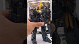 Mg Banshee Norn - Final Build