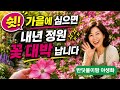 정원  고수들은 지금 가을에 심습니다!   봄 정원  풍성해지는 이유
