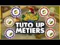 Comment monter son Bijoutier/Cordonnier/Tailleur & ses Mages niv.100 sur 1.29 - DOFUS RÉTRO