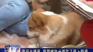 屏東大學引進學習輔助犬，讓孩子愛上閱讀