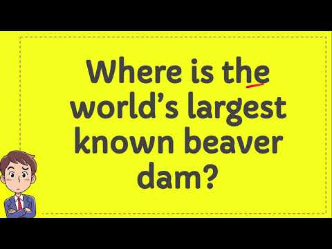 Video: Dov'è la più grande diga di castori conosciuta al mondo?
