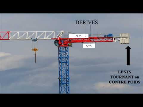 Vídeo: Per Què Somien Les Grues?