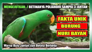 UNIQUE FACTS ABOUT PARROTS