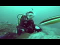 Magic Point &amp; The Gap Dive in Sydney