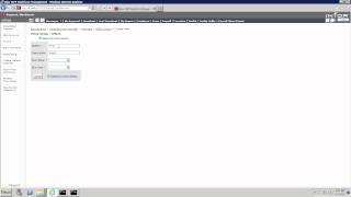 Workbrain Balances and Accruals 5