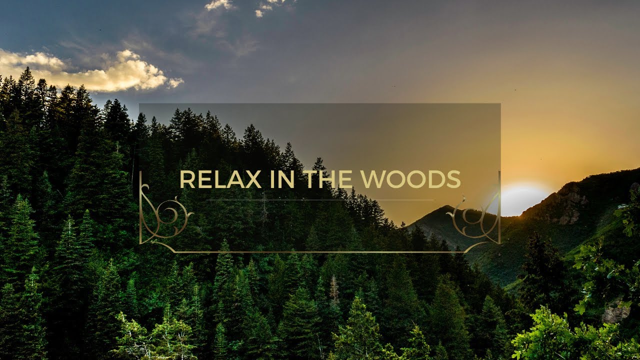 Harmonious Forest Escape: Relaxing Music for Stress Relief and Meditation