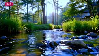 Let the Babbling Brook Ease Your Mind 🌿 Soft Piano & Nature Sounds | 10 Hours