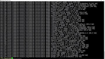 Upgrade Debian 9 Server to Debian 10