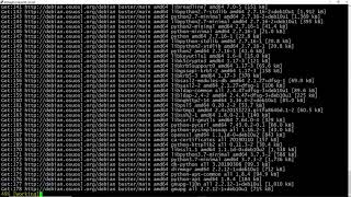 Upgrade Debian 9 Server to Debian 10