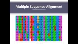 Section Multiple Sequence Alignment using Clustalw in UniProt database