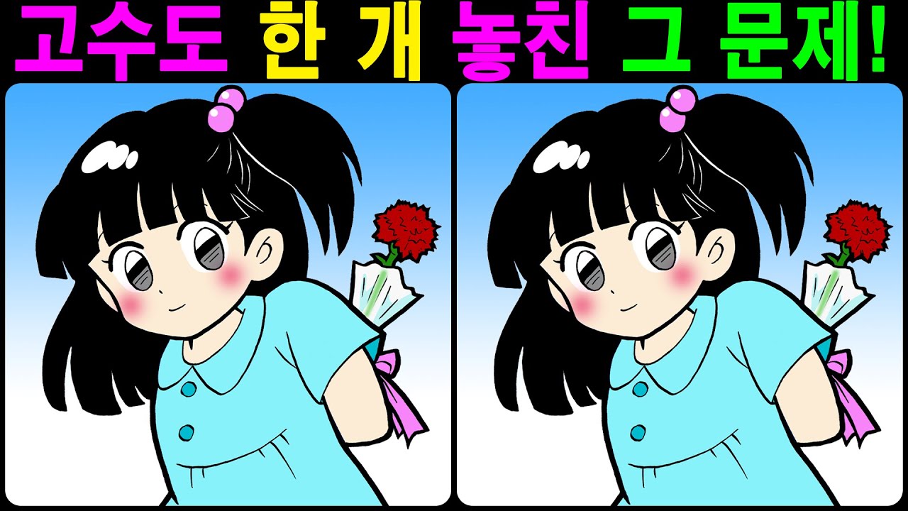 【틀린그림찾기/치매예방】 고수도 한 개 놓친 그 문제! 【다른그림찾기/두뇌운동】