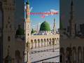 I Love Prophet Muhammad ﷺ ❤️ | The Greatest Love Ever#shorts #ytshorts