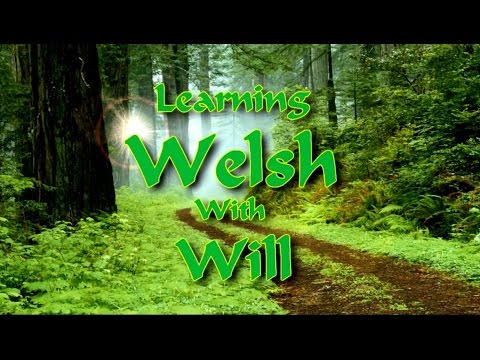 Learn Welsh With Will Ep 17: How To Say Merry Christmas In Welsh - Youtube