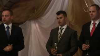 Swiss Halley Директорский Состав Компании