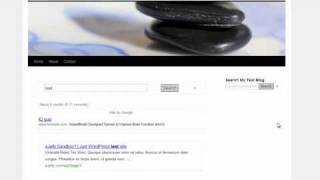 Integrate Google Custom Search in WordPress