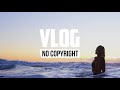 DayFox - Friendshippers (Vlog No Copyright Music)