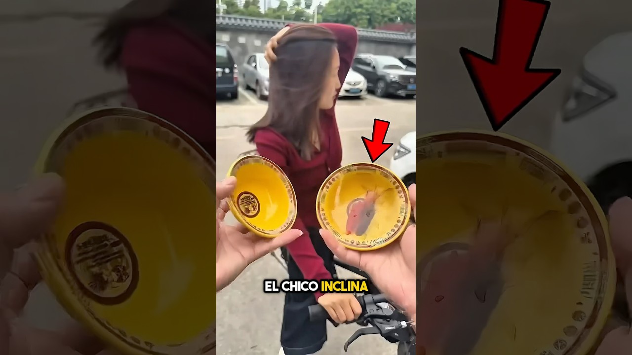 No voltees estos tazones antes de ver por qué 😮