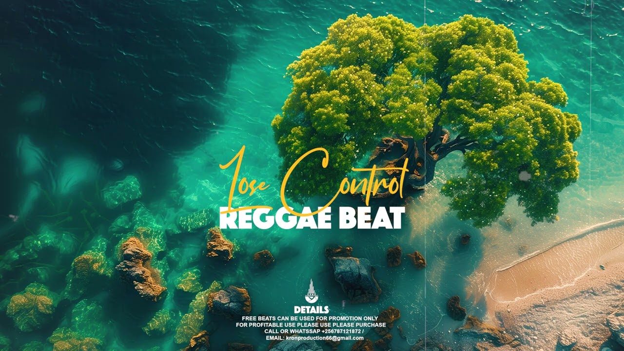 [Free] Reggae Instrumental Lucky dube x Madoxx X Gentleman Type Beat 2024 (Lose Control )