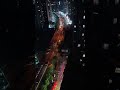 The Beauty of the Night Sky#NightSky #StarryNight #NightView