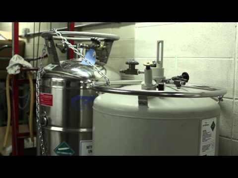 Filling and Maintenance of Liquid Nitrogen