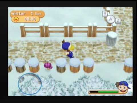 Harvest Moon: Magical Melody (wii) - First day of ...