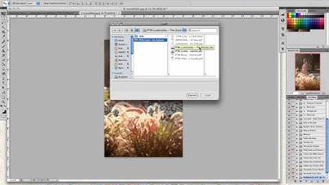 Quick and Easy Photoshop Tutorials- Loading New Actions
