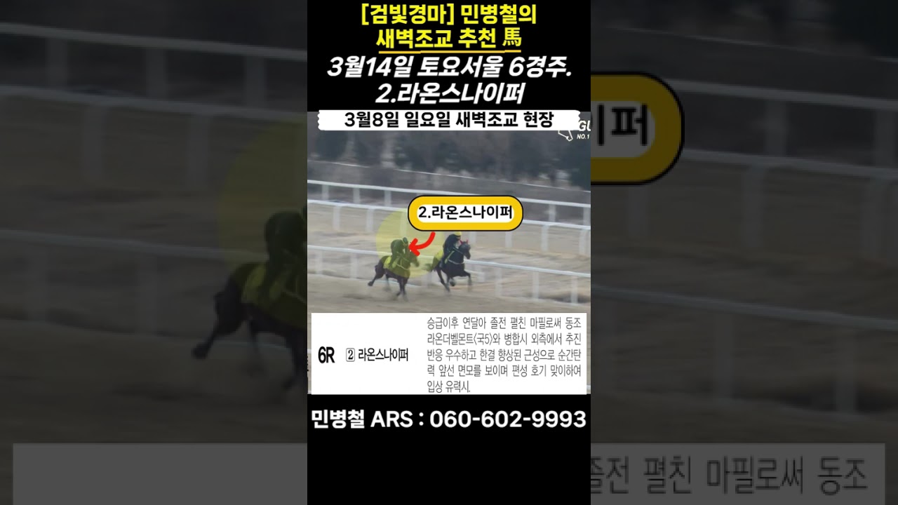 #3월14일 토요일!민병철의 새벽조교 우수馬!