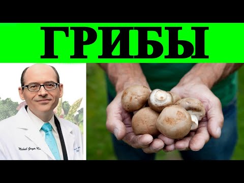 YouTube видео