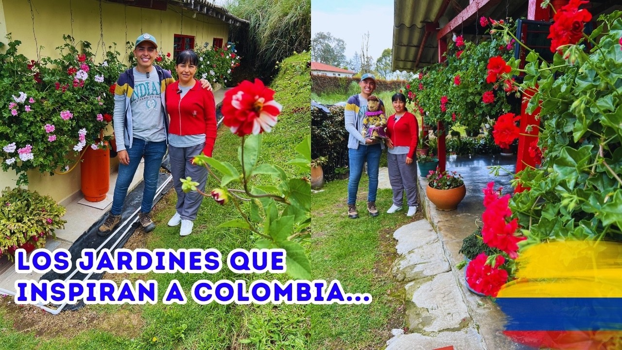 Los JARDINES de COLOMBIA son la inspiración para GANAR en el MUNDO de las PLANTAS |AP