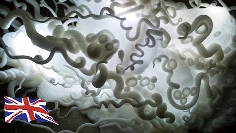 Thermoplastic Polymorph Moldable Plastic Use Ideas Examples Instamorph UK Thermosetting Plastic