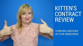 Turkish Angora Kitten’s Contract Review