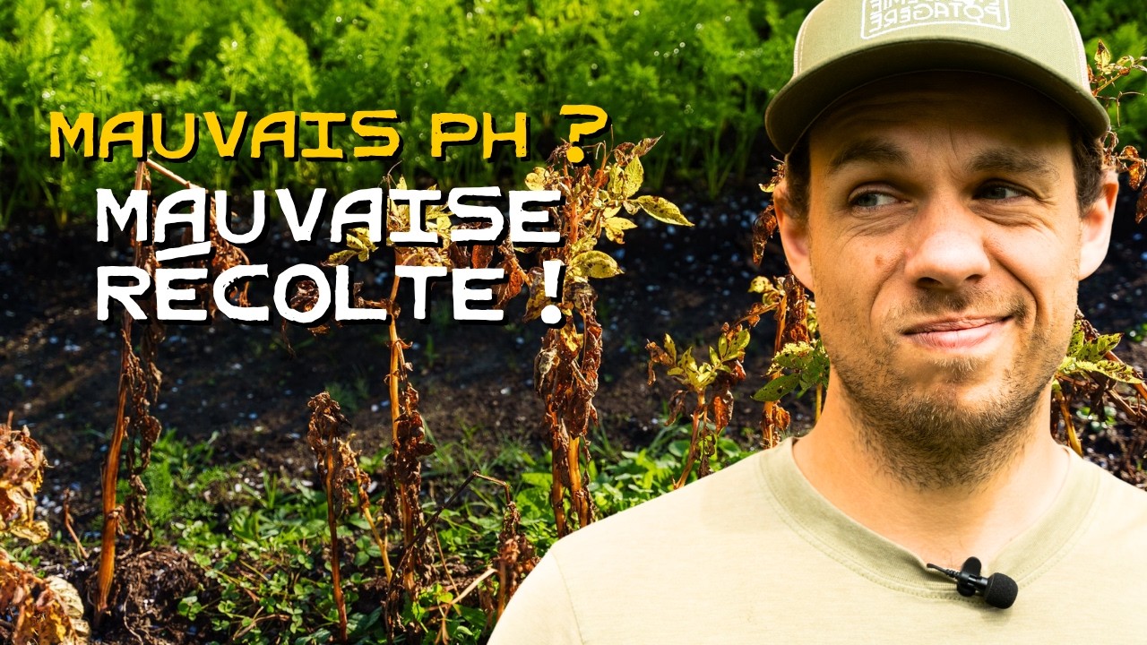 Ajustez le pH de votre sol et vos légumes vous remercieront !