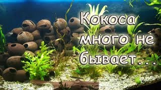 Быстрый способ как подготовить КОКОС для аквариума.