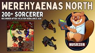 Werehyaenas North | 200+ Sorcerer | Tibia