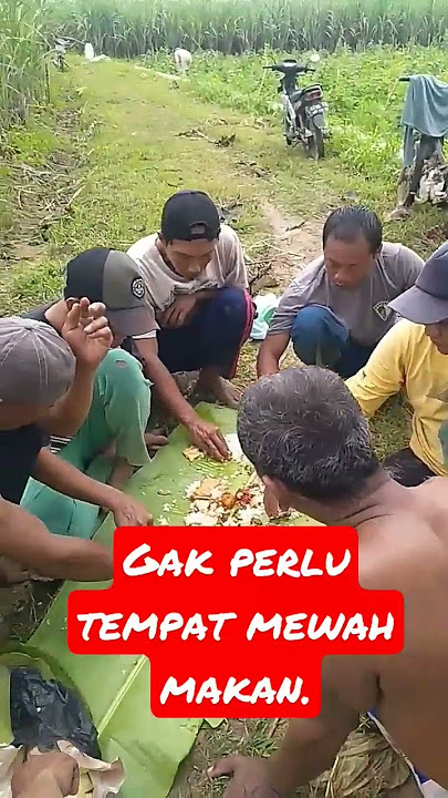 gak perlu tempat mewah untuk makan bersama#cukup di sawah#shorts