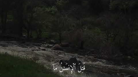 قرآن بدون مؤثرات صوتيه، القارئ جابر القيطان |(عبس وتولّى) ارح سمعك ❤