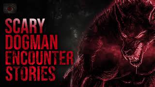 Top 10 Scary Dogman Sightings - Horror Stories Of Dogmen