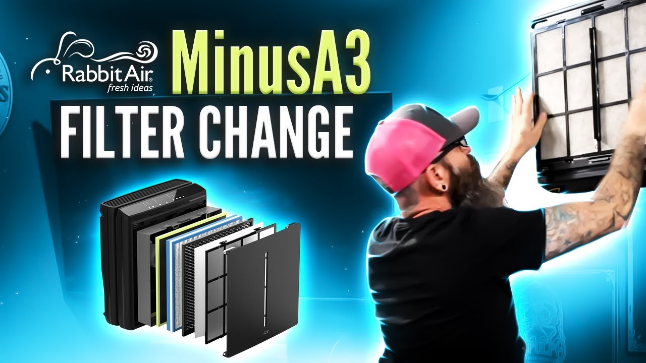 Rabbit Air MinusA3 Filter Pack Change | Cigar Prop 2024