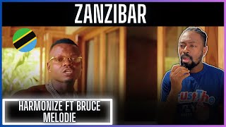 Harmonize Feat. Bruce Melodie - Zanzibar (Official Music Video) | Reaction
