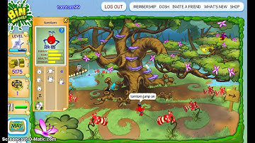 Bin Weevils Training Pet