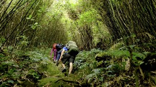 Silent Hiking on the Border of Vietnam and China by Nicholas Eager 29,847 views 3 years ago 15 minutes