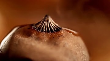 سورة الرحمن تلاوة مميزة  كاملــــة  بصوت هادئ يريح القلووب !♥(مع رابط التحميل)