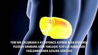 Aspirin Karaciğer Yağlanmasını Azaltıyor (Yeni̇ Araştirma)