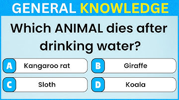 Think You’re Smart? Prove It with This General Knowledge Quiz!